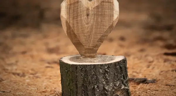Holzskulptur in Herzform auf einem Baumstumpf, umgeben von Holzspänen.