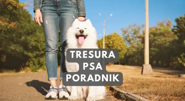 Szczęśliwy szczeniak i jego opiekun na spacerze. Poradnik "Tresura psa" pomoże Ci jak wychować szczeniaka.