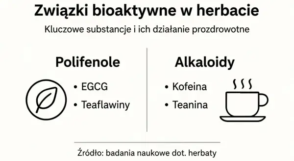 Związki bioaktywne w herbacie: polifenole (np. EGCG) i alkaloidy (kofeina, teanina). Badania naukowe o herbacie.