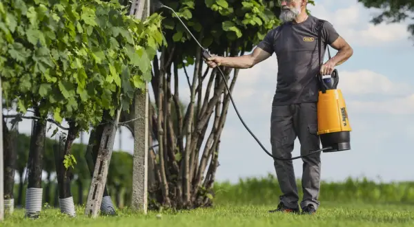 Uomo con spruzzatore esegue trattamenti pesco. La cura delle piante è fondamentale per un raccolto sano.
