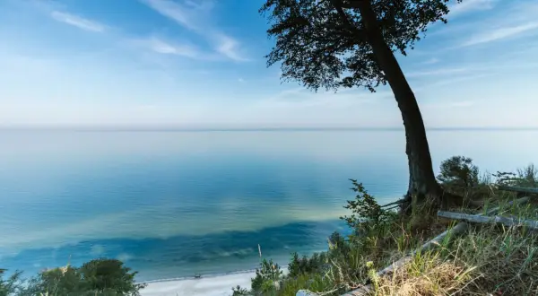 Widok na spokojne morze z klifu w Międzyzdrojach. Drzewo na pierwszym planie, plaża w oddali. Piękne międzyzdroje atrakcje.