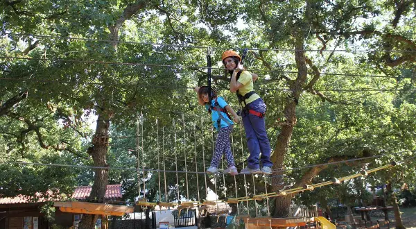 Bambini si divertono in un parco avventura Puglia, su un percorso sospeso tra gli alberi.