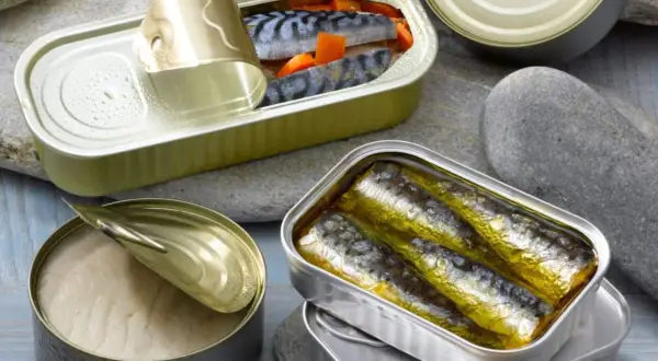 Boîtes de sardines ouvertes, riches en **sardine proteine**, sur des galets. Une conserve de poisson entier, une autre de filets dorés, et une troisième avec des morceaux de poisson et carottes.