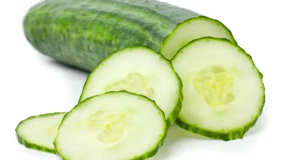 Zielony ogórek pokrojony w plastry, idealny na lekki posiłek. Niska zawartość ogórek zielony kcal.