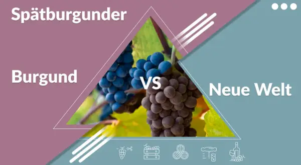 Spätburgunder: Burgunder vs. Neue Welt. Zwei Trauben, ein Wein.