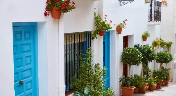 Un encantador pueblo indalo que ver: callejuela blanca con puertas azules, macetas con flores rojas y verdes, y árboles topiarios.