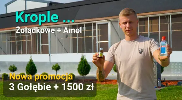 Krople żołądkowe dla gołębi: Pełny poradnik dawkowanie i błędy.