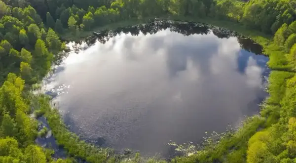 Malownicze jezioro Wójtowskie otoczone bujną zielenią lasów i trzcin.