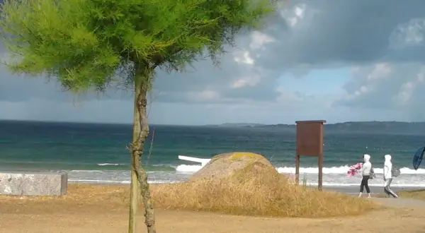 Árbol verde en la playa a lanzada, con el mar y dos personas caminando.