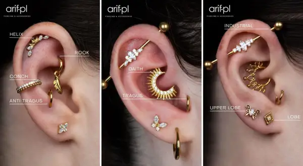 Złote kolczyki w uchu: helix, rook, conch, anti tragus, daith, tragus, industrial, upper lobe, lobe. Jaki wenflon do ucha? To pytanie o biżuterię.