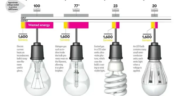 Porównanie różnych typów żarówek: tradycyjnej, halogenowej, świetlówki CFL i LED. Pokazuje, co to jest źródło światła i ile energii zużywa każda z nich.