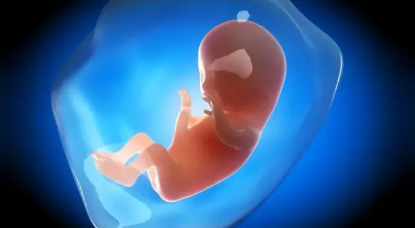 Pierwszy trymestr ciąży: Ile trwa? Co dzieje się z Tobą i dzieckiem?