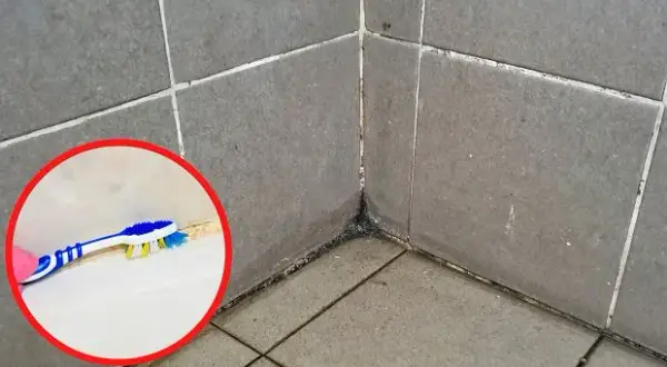 Czyste fugi bez wysiłku? Sprawdzone metody na brud i pleśń!