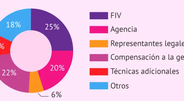 Gráfico circular muestra desgloses de cuanto cuesta un parto en España: FIV (25%), Agencia (20%), Compensación gestante (22%), Otros (18%), Técnicas adicionales (9%), Representantes legales (6%).