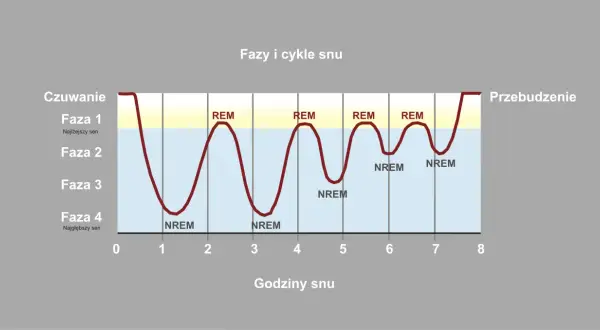 Wykres przedstawia cykle snu, pokazując różne fazy snu (REM i NREM) w ciągu nocy.