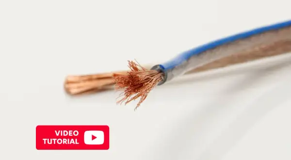 Fils de cuivre dénudés, prêts pour une connexion enceinte. Tutoriel vidéo disponible.