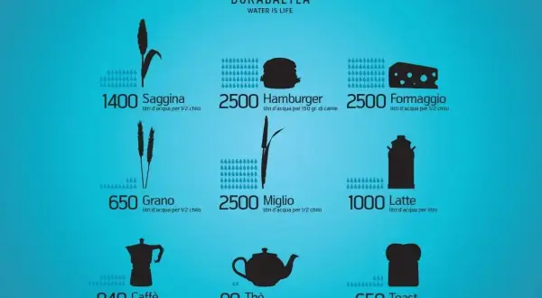 L'impronta idrica: scopri quanti litri d'acqua servono per produrre cibo come caffè, latte, formaggio e hamburger.