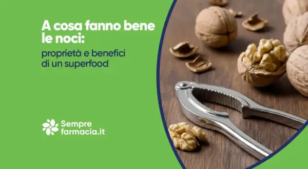 Noci e schiaccianoci su un tavolo di legno. Mangiare noci alla sera fa bene.