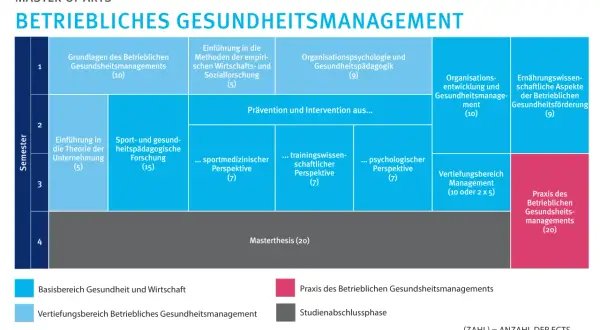 Struktur eines Masterstudiums im Betrieblichen Gesundheitsmanagement mit Modulen wie Prävention, Sportpädagogik und Praxis.