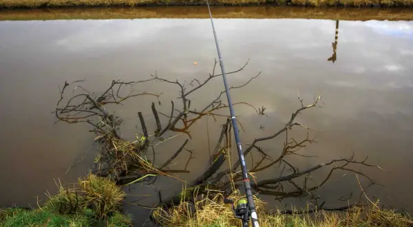 Eine Angelrute mit Rolle liegt am Ufer, bereit für die stellfischrute montage. Im trüben Wasser treiben Äste.