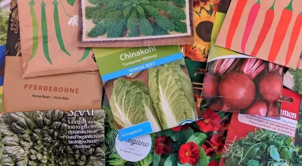 Samenpäckchen für verschiedene Gemüsesorten wie Bohnen, Chinakohl und Rote Bete. Hier erfährt man, was sind hybriden und wie man sie anbaut.