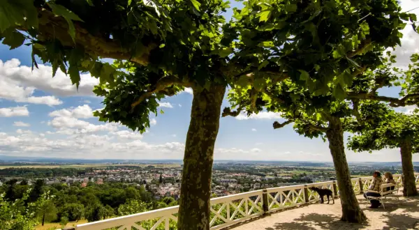 Bad Nauheim: Restaurants, Cafés & Kulinarik Guide | Entdecken Sie Genuss