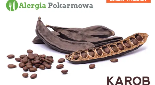 Mączka chleba świętojańskiego (E410): Bez glutenu? Rozwiewamy wątpliwości!