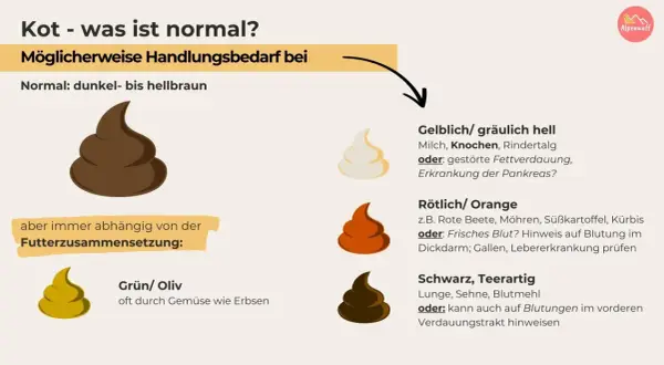 Hund Kot: normal ist dunkelbraun. Rötlicher Kot kann auf frisches Blut im Stuhl hinweisen, was tierärztliche Abklärung erfordert.
