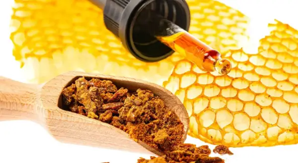 Propolis co to? Złota kropla z pipety na plastrze miodu, obok drewnianej łyżki z pyłkiem.
