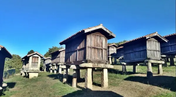 Fila de hórreos de madera sobre pilares de piedra, un paisaje rural típico de Galicia.