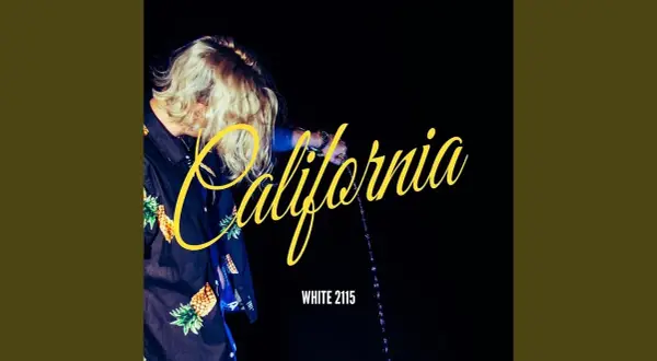 Kto śpiewa "California"? Odkryj najpopularniejsze piosenki