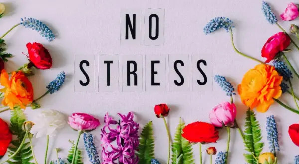 Kwiaty i litery "NO STRESS" tworzą radosną kompozycję, która budzi pozytywne emocje i spokój.