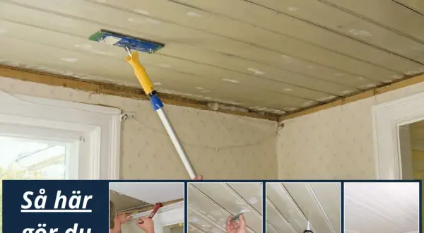 Steg för steg hur du kan laga innertak. Bilden visar en person som arbetar med taket, med verktyg och material.