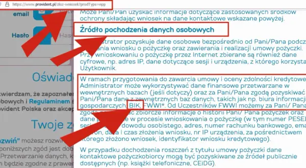Czy Profimo sprawdza BIK? Jak to wpływa na Twoją pożyczkę?