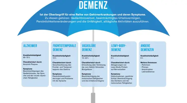 Übersicht über Demenzformen: Alzheimer (60-70% Häufigkeit) mit Amyloid-Plaques, beeinflusst Gedächtnis, Sprache, räumliche Fähigkeiten. Die Lebenserwartung bei Alzheimer variiert.