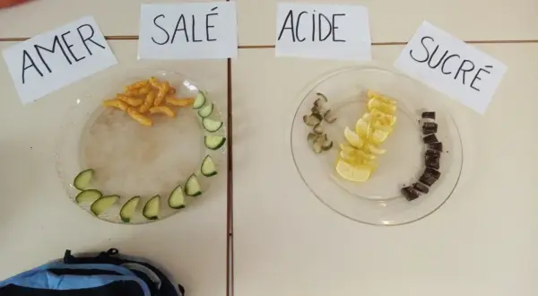 Plats avec des aliments pour un jeu du goût adulte : amer (chips, concombre), salé (chips), acide (citron), sucré (chocolat).