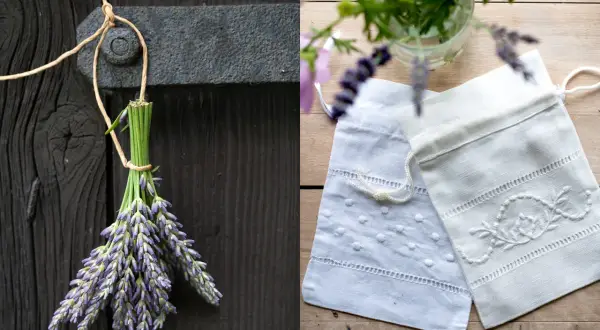 En bukett lavendel hänger på en gammal träport, redo för torka lavendel. Bredvid ligger två broderade påsar, perfekta för att förvara den torkade lavendeln.