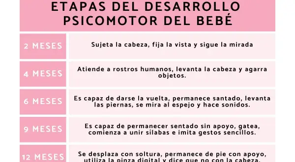 Tabla que detalla el desarrollo del bebé mes a mes, desde los 2 hasta los 12 meses, cubriendo hitos psicomotores.