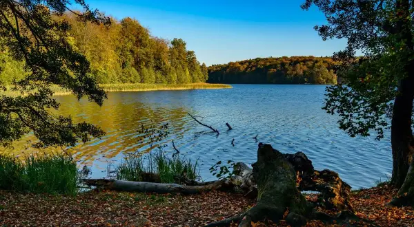 Jesienne barwy lasów otaczają spokojne jezioro, idealne na wędrówkę po szlakach turystycznych w Polsce.