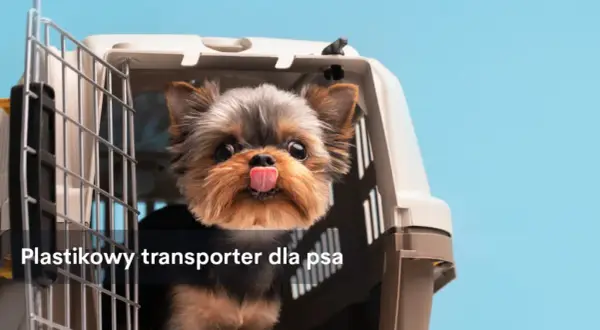 Bezpieczny transporter dla psa do samochodu - jak wybrać najlepszy?