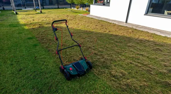 Wertykulator na trawniku, który właśnie przeszedł zabieg. Widać wyraźną różnicę między świeżo wertykulowaną a zieloną częścią. Idealny czas, kiedy wertykulować trawnik, to wiosna lub jesień.