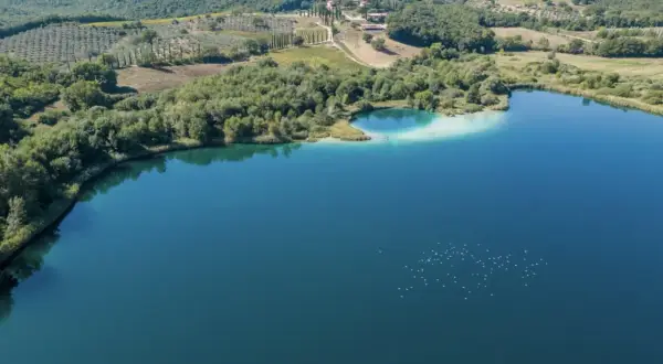 Il **lago dell'Accesa** brilla sotto il sole, circondato da colline verdi e uliveti. Un gruppo di uccelli bianchi danza sull'acqua.