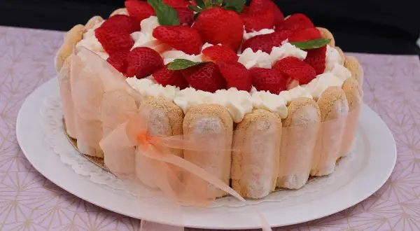 Charlotte aux fraises et fromage blanc, décorée de crème fouettée et de menthe fraîche. Un ruban pêche enlace le pourtour de biscuits à la cuillère.