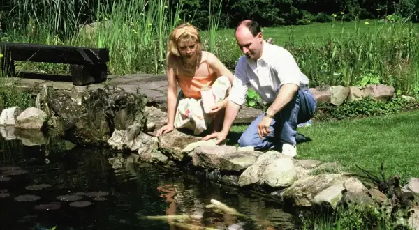 Ein Paar füttert eine seltene albino Forelle in einem Teich.