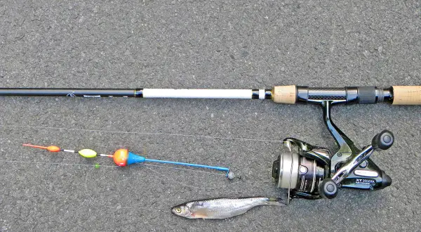 Angelrute mit Rolle, Pose und einem kleinen Fisch, bereit für den Zanderfang.