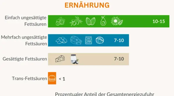 Empfohlener Fettanteil in der Ernährung: Einfach ungesättigte Fettsäuren (10-15%), mehrfach ungesättigte Fettsäuren (7-10%), gesättigte Fettsäuren (7-10%), Trans-Fettsäuren (<1%). Vitamin F ist wichtig!