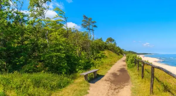 Jak dojechać do Jastrzębiej Góry - sprawdzone trasy i porady