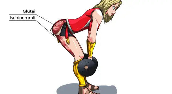 Donna in posa per stacchi a gambe tese, con muscoli glutei e ischiocrurali evidenziati.
