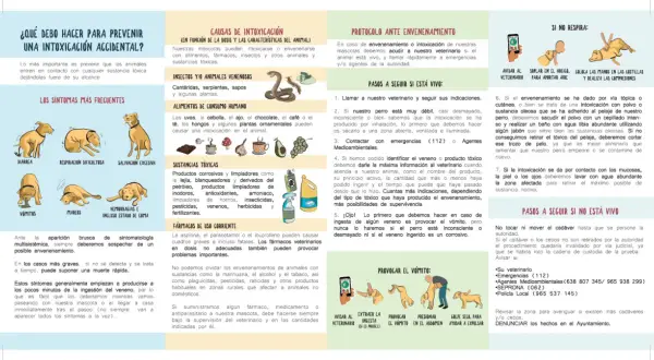Ilustración muestra cómo actuar ante una intoxicación de perros, incluyendo síntomas, causas y qué hacer si el animal ingiere veneno.