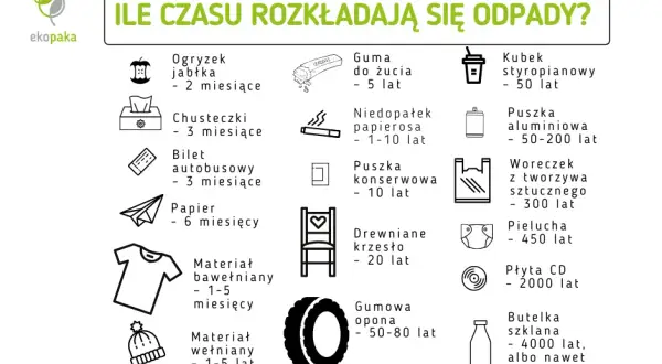 Ile rozkładają się śmieci? Zaskakujące czasy rozkładu różnych odpadów